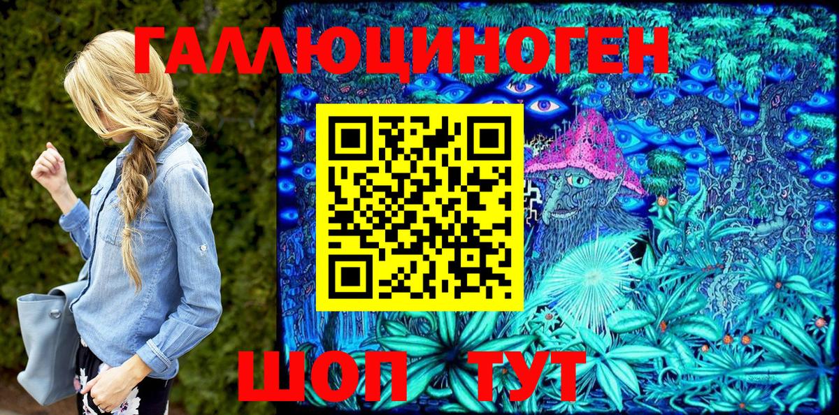 Псилоцибиновые грибы Psilocybe Орёл
